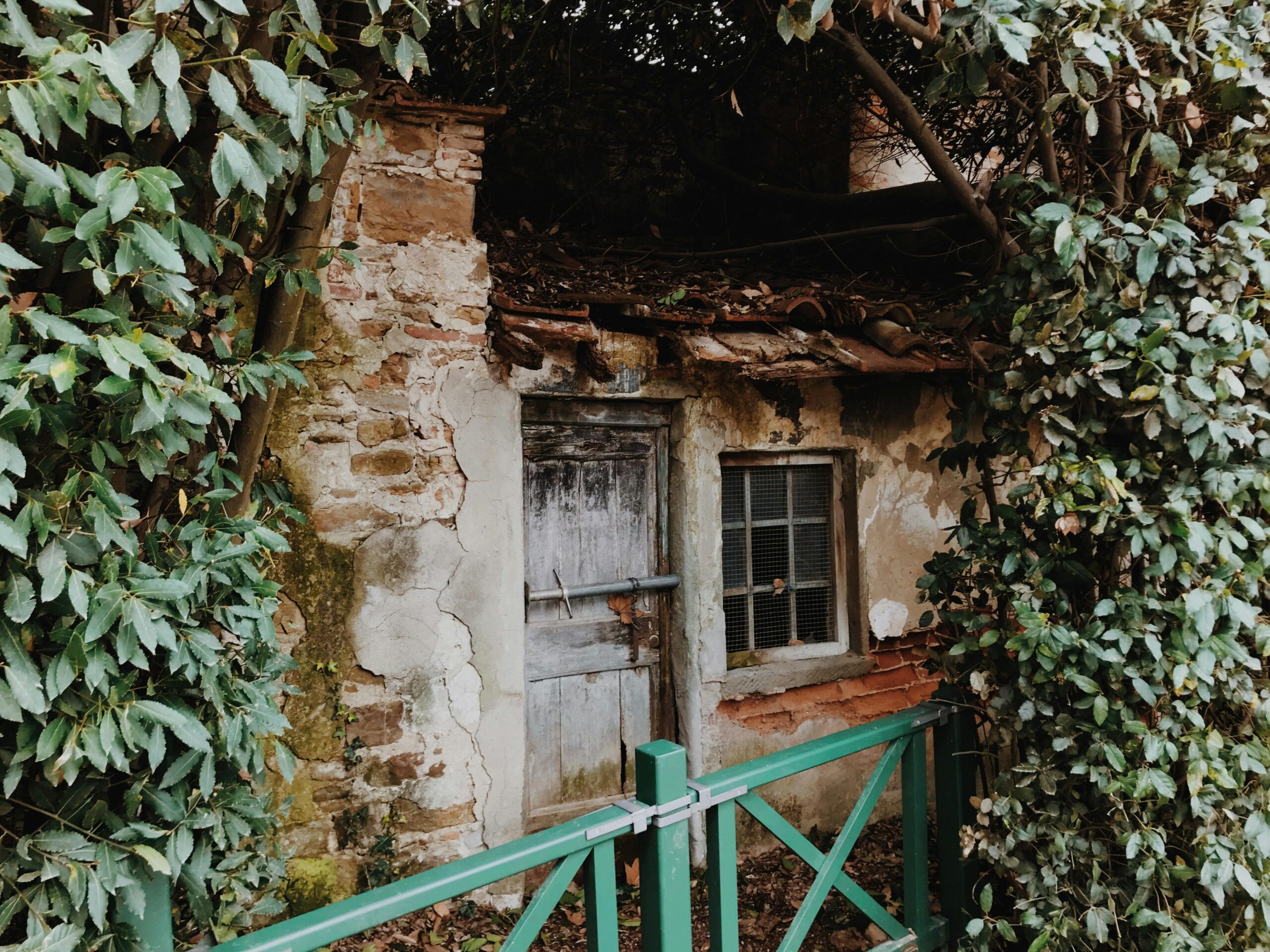 A quaint old cottage surrounded by dense ivy, showcasing rustic charm and vintage appeal.