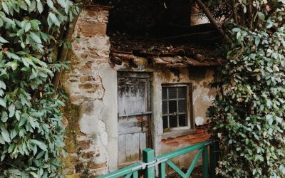 pexels-photo-2119647-2119647 A quaint old cottage surrounded by dense ivy, showcasing rustic charm and vintage appeal.